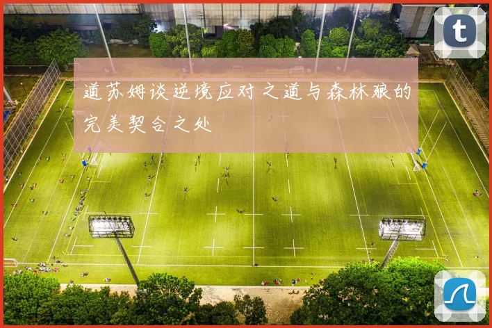 道苏姆谈逆境应对之道与森林狼的完美契合之处