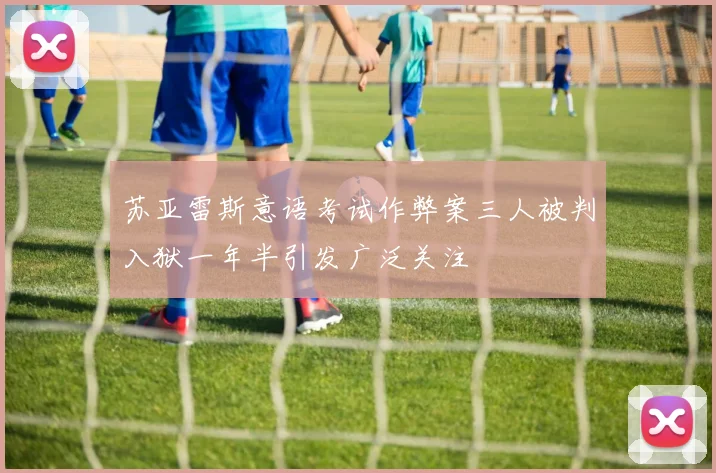 苏亚雷斯意语考试作弊案三人被判入狱一年半引发广泛关注