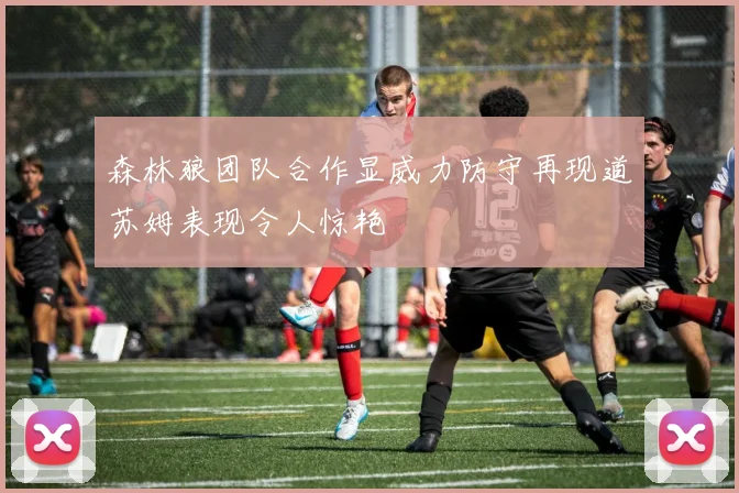 森林狼团队合作显威力防守再现道苏姆表现令人惊艳