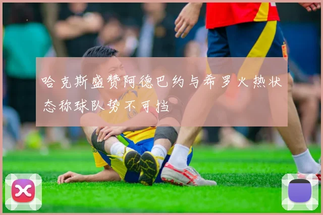 哈克斯盛赞阿德巴约与希罗火热状态称球队势不可挡